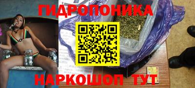 крисы Будённовск