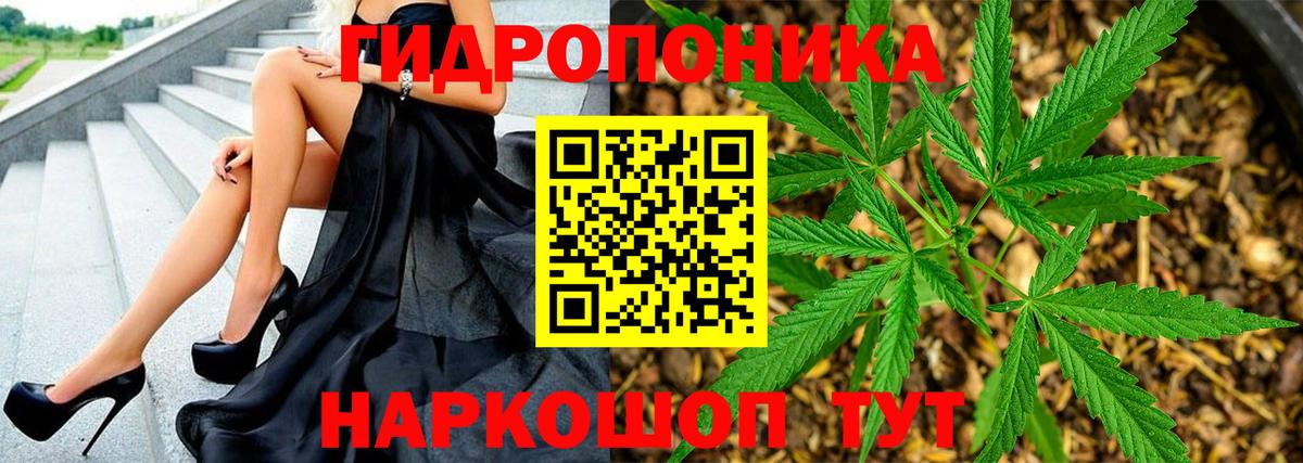 Бошки Шишки White Widow Кохма