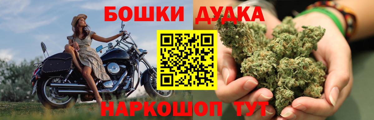 Бошки Шишки Кохма